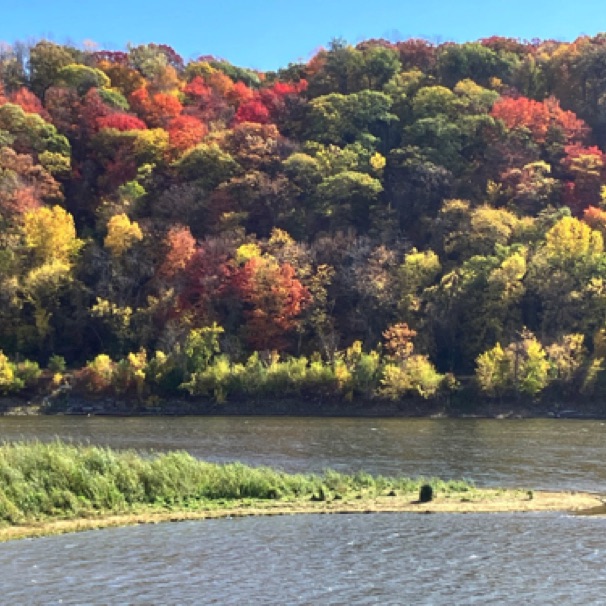 Mississippi River, St. Paul (Oct)